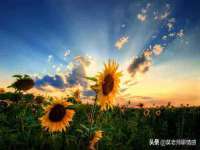 宁波腾云智能科技有限公司