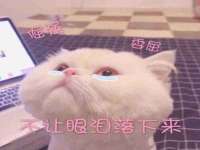 宁波腾云智能科技有限公司