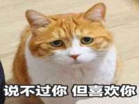 宁波腾云智能科技有限公司