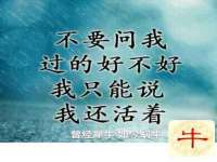 宁波腾云智能科技有限公司