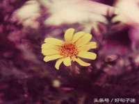 宁波腾云智能科技有限公司