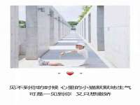 宁波腾云智能科技有限公司