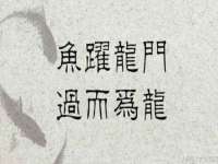 宁波腾云智能科技有限公司
