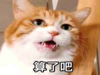 宁波腾云智能科技有限公司