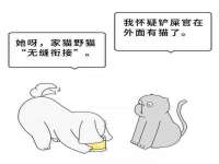 宁波腾云智能科技有限公司