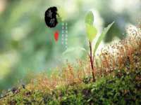 宁波腾云智能科技有限公司