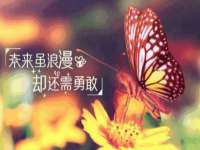 宁波腾云智能科技有限公司