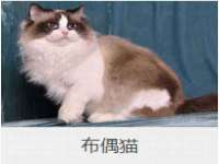 宁波腾云智能科技有限公司