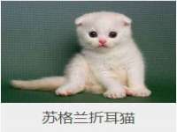 宁波腾云智能科技有限公司