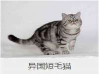 宁波腾云智能科技有限公司