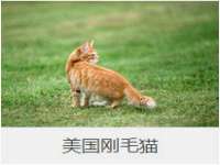 宁波腾云智能科技有限公司
