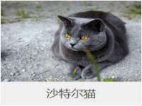 宁波腾云智能科技有限公司