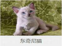 宁波腾云智能科技有限公司