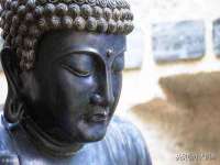 宁波腾云智能科技有限公司