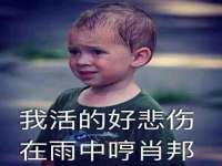 宁波腾云智能科技有限公司
