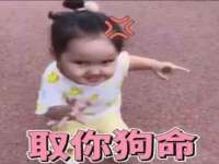宁波腾云智能科技有限公司