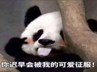 宁波腾云智能科技有限公司