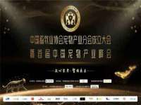 宁波腾云智能科技有限公司