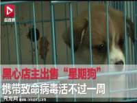 宁波腾云智能科技有限公司