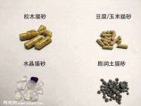 宁波腾云智能科技有限公司