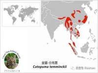 宁波腾云智能科技有限公司