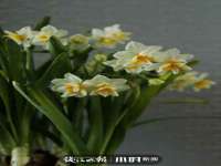 宁波腾云智能科技有限公司