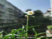 宁波腾云智能科技有限公司