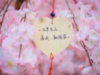 宁波腾云智能科技有限公司
