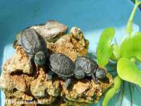 宁波腾云智能科技有限公司