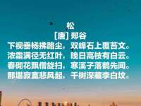 宁波腾云智能科技有限公司