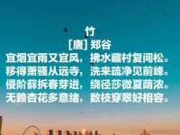 宁波腾云智能科技有限公司
