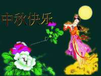 宁波腾云智能科技有限公司