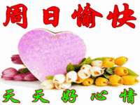 宁波腾云智能科技有限公司
