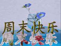 宁波腾云智能科技有限公司