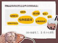 宁波腾云智能科技有限公司