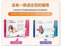 宁波腾云智能科技有限公司