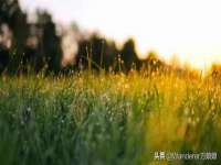 宁波腾云智能科技有限公司