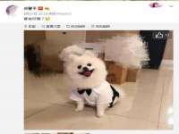 宁波腾云智能科技有限公司