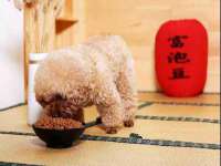 宁波腾云智能科技有限公司