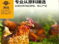 宁波腾云智能科技有限公司