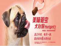 宁波腾云智能科技有限公司