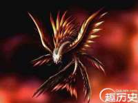 宁波腾云智能科技有限公司