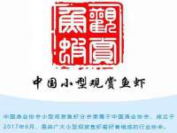宁波腾云智能科技有限公司