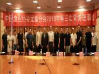 宁波腾云智能科技有限公司