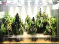 宁波腾云智能科技有限公司
