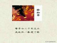 宁波腾云智能科技有限公司