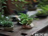 宁波腾云智能科技有限公司
