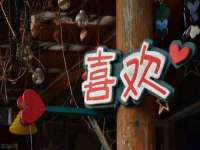 宁波腾云智能科技有限公司