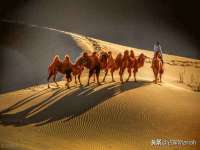 宁波腾云智能科技有限公司