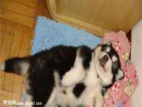 宁波腾云智能科技有限公司